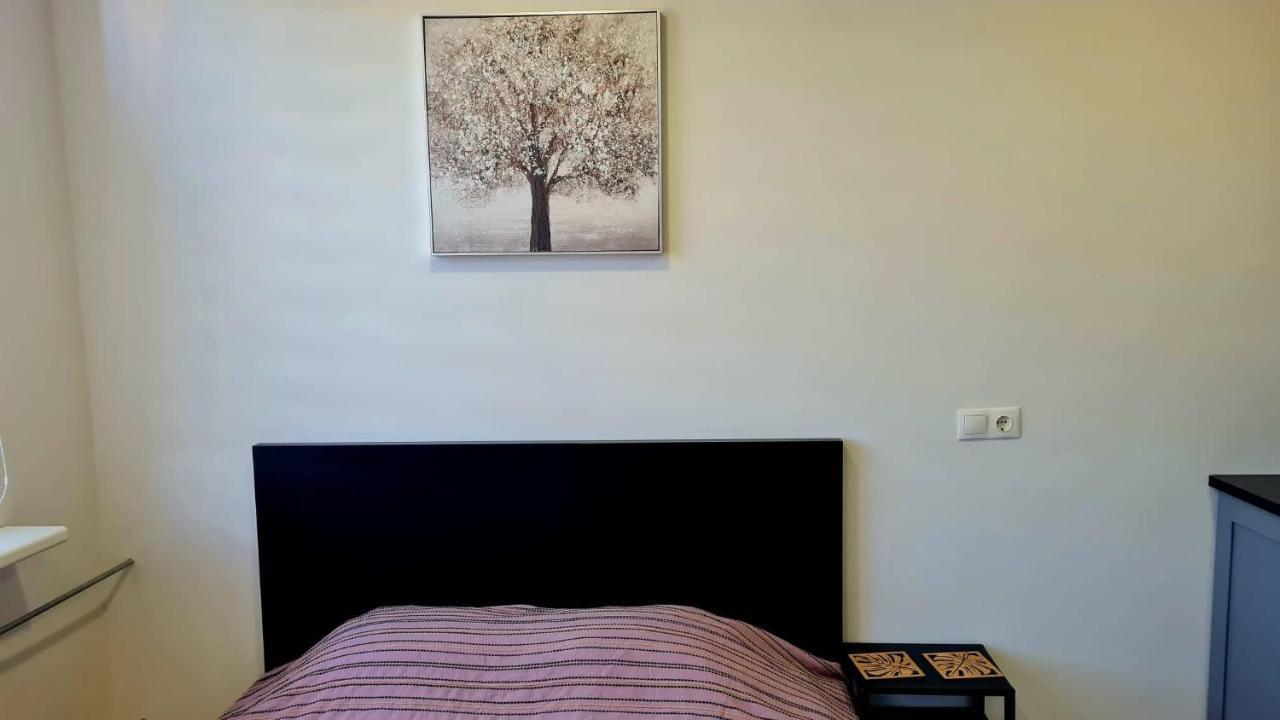 Taikos Studio 8,, Free Parking Klaipeda Exterior photo